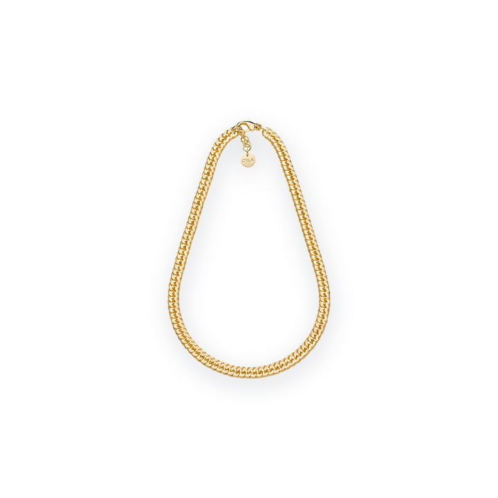 Classica Double Curb Chain Necklace